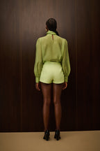 BS452 _ SH381S Large.jpeg