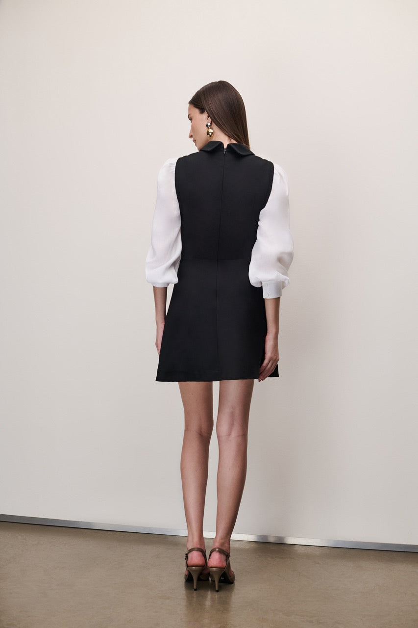 BS453 _ VS0825 Large.jpeg