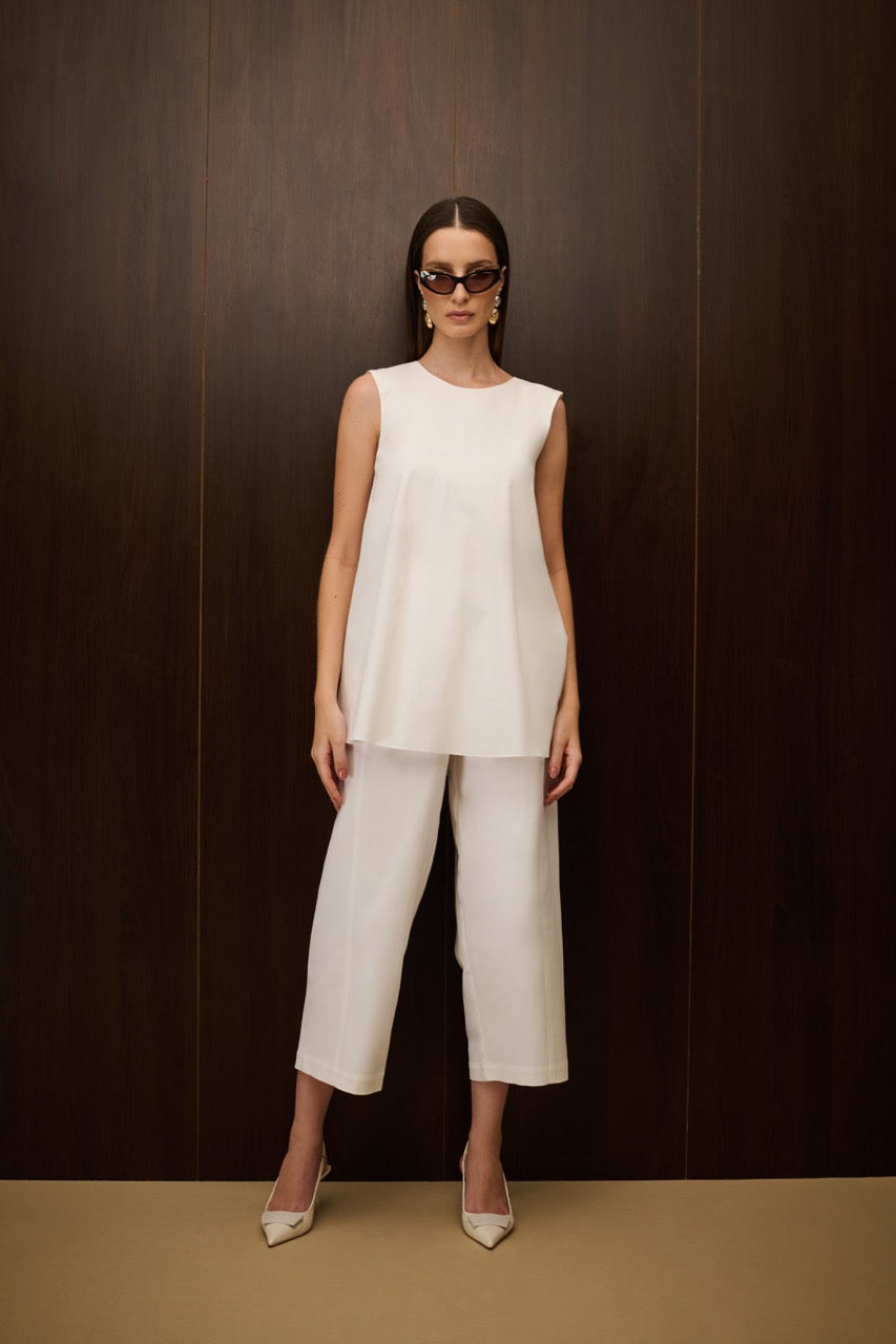 BS463 _ CA750(1) Large.jpeg