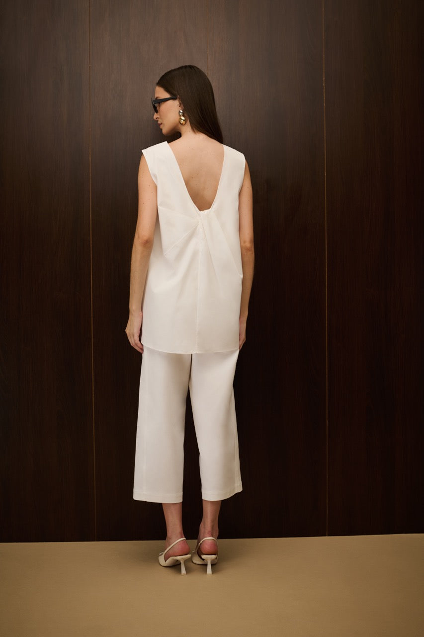 BS463 _ CA750 Large.jpeg